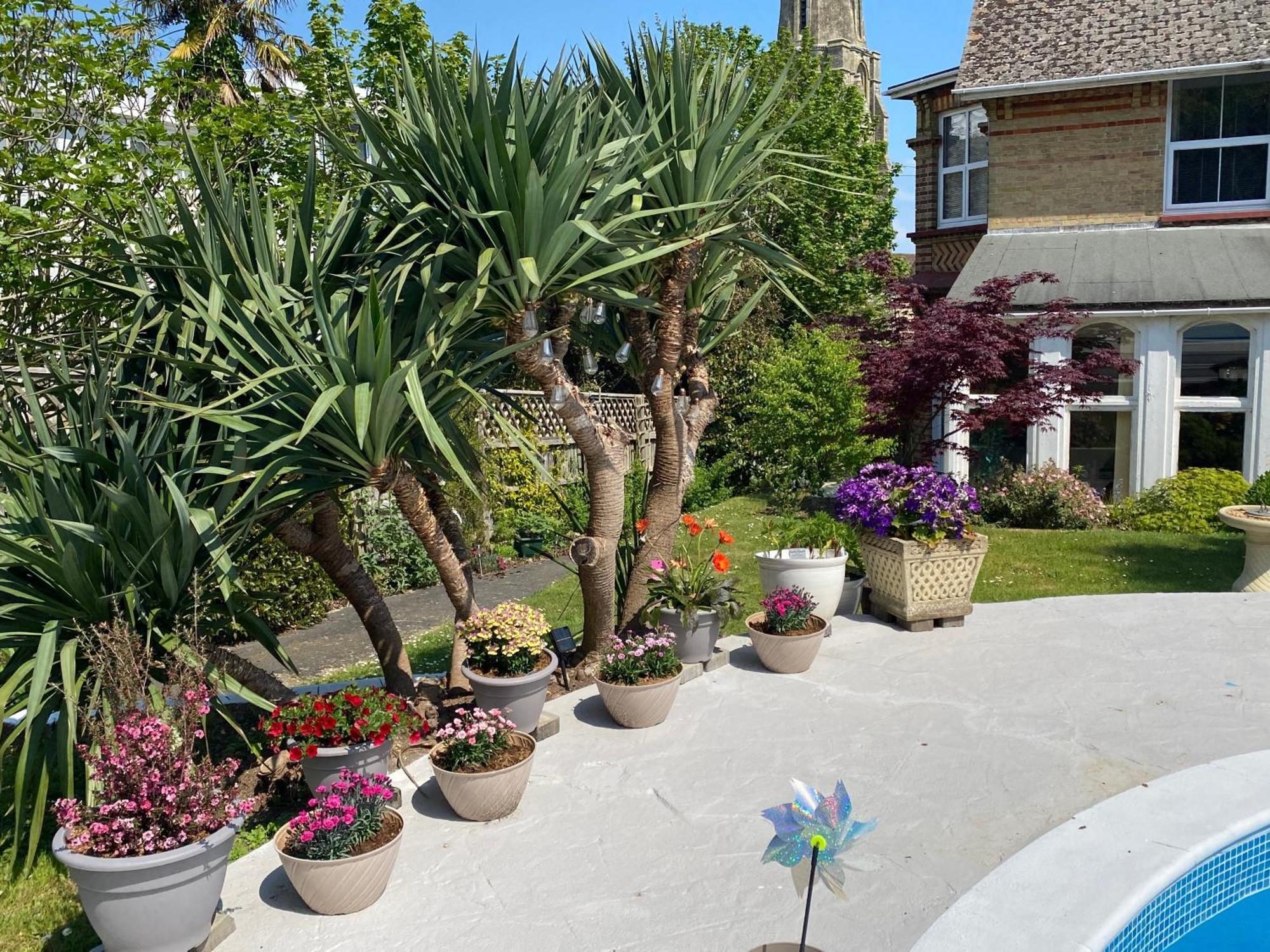 The Belmont Shanklin Exterior foto